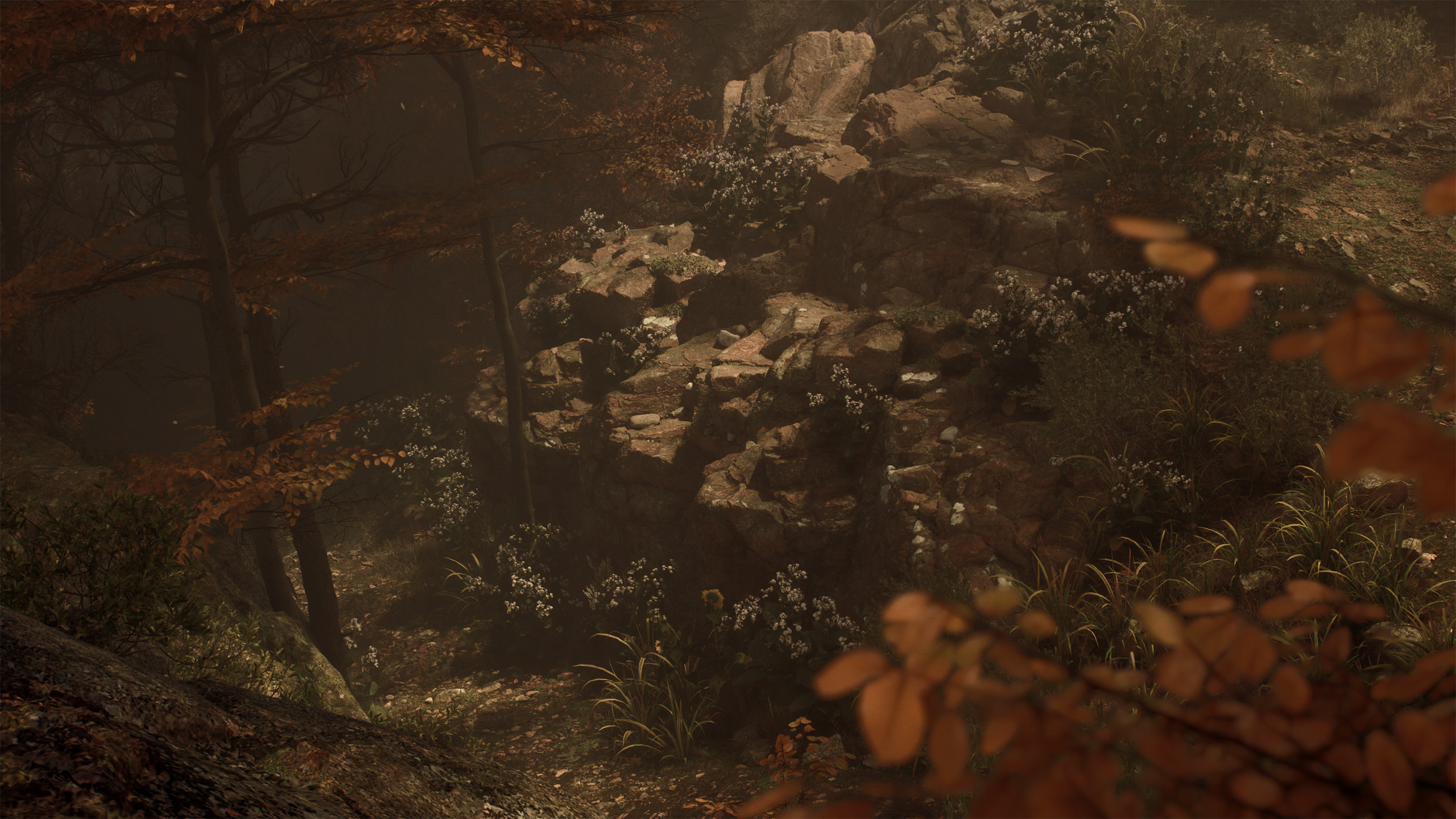 Dark and moody 3D environment depicting a small passage through thick vegetation and rocky terrain